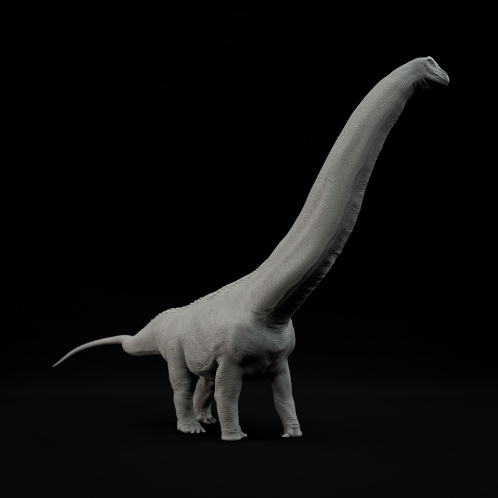 Argentinosaurus walking 1-100 scale pre-supported dinosaur image