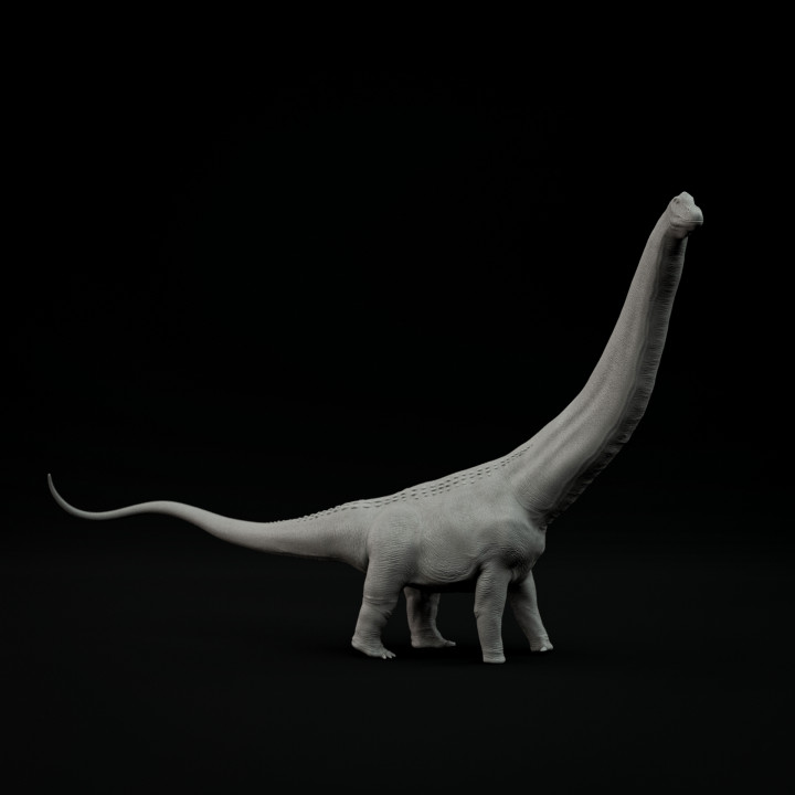 Argentinosaurus 1-100 scale pre-supported dinosaur image