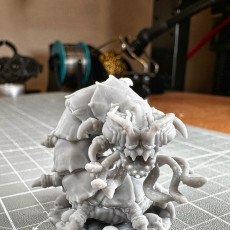 Picture of print of Carrion Crawler