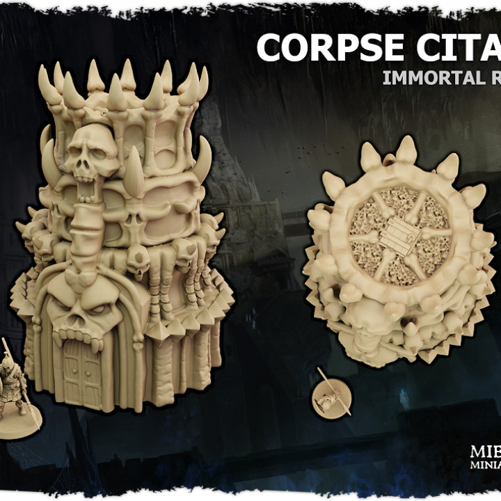 Immortal Realms: Corpse Citadel's Cover