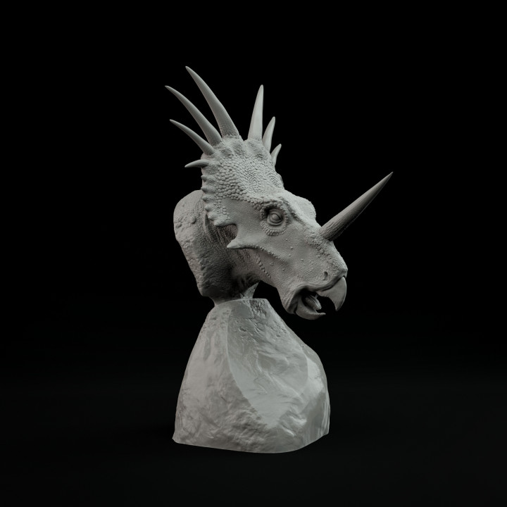 Styracosaurus bust - pre supported image