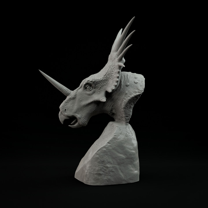 Styracosaurus bust - pre supported image