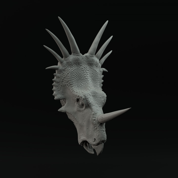Styracosaurus mount image