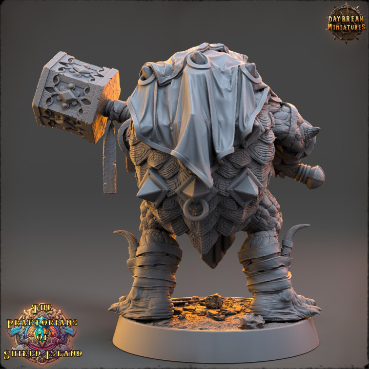 Topo - The Praetorians of Shield Island image