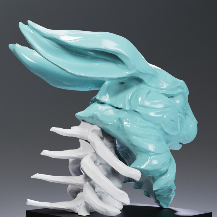 Rabbit Skeleton Art image