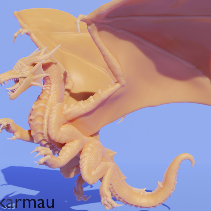 Young red dragon image