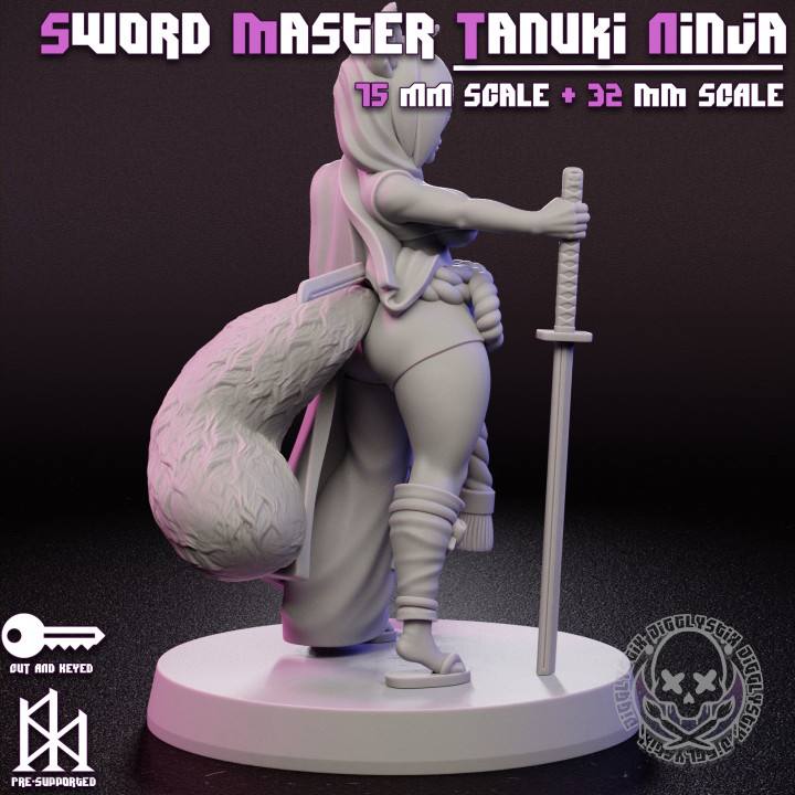 Sword Master Tanuki Ninja image