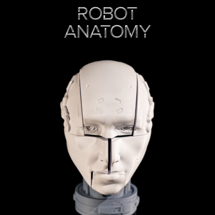 Robot Anatomy image