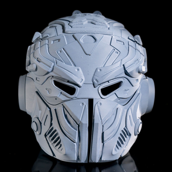 Lone Wolf Mask