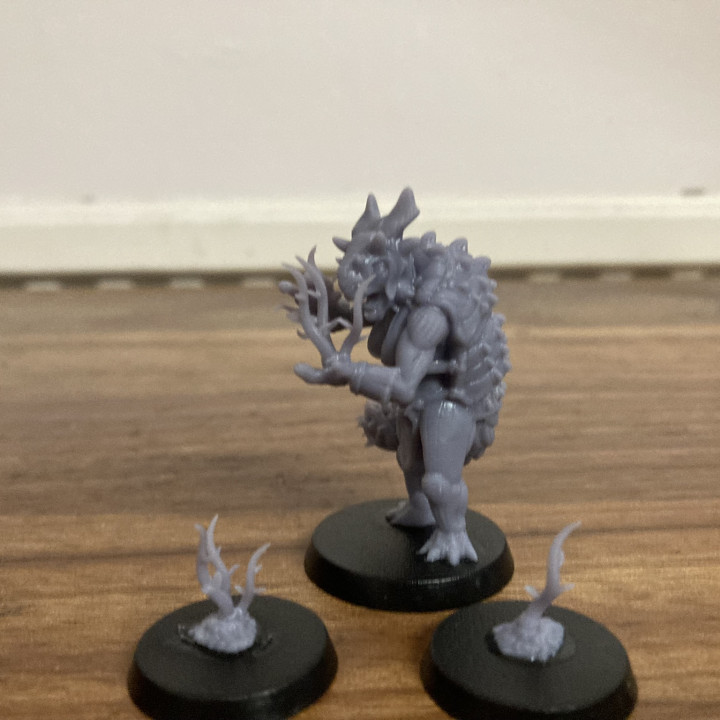 Ankanlos Seed Keeper - LIzardmen image