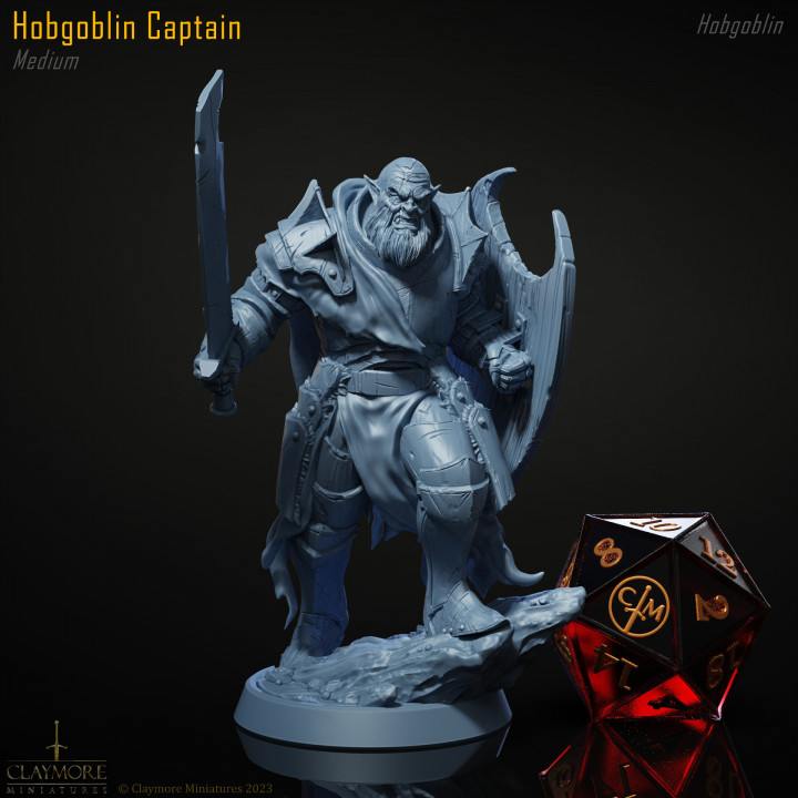 Hobgoblin Captain