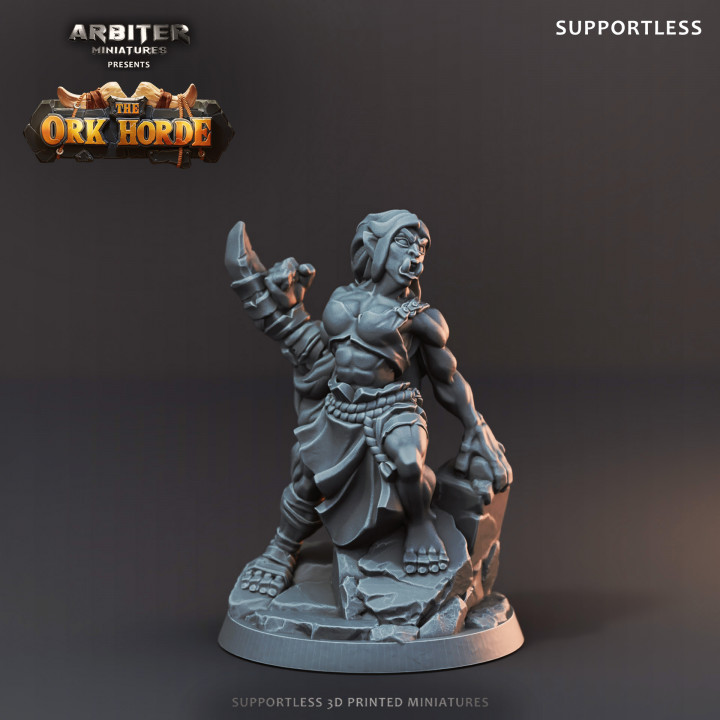 Supportless Ork Female Berserker 03