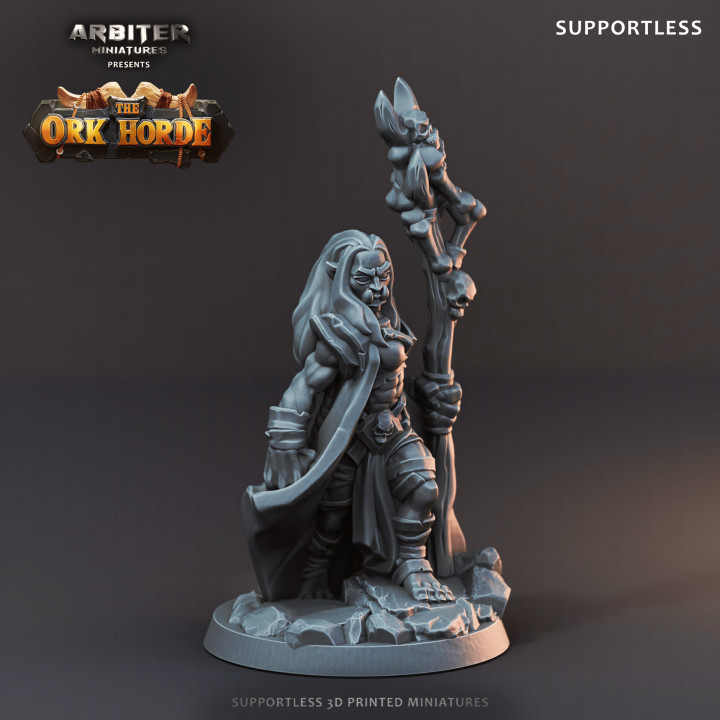 Supportless Ork Shaman Female 01