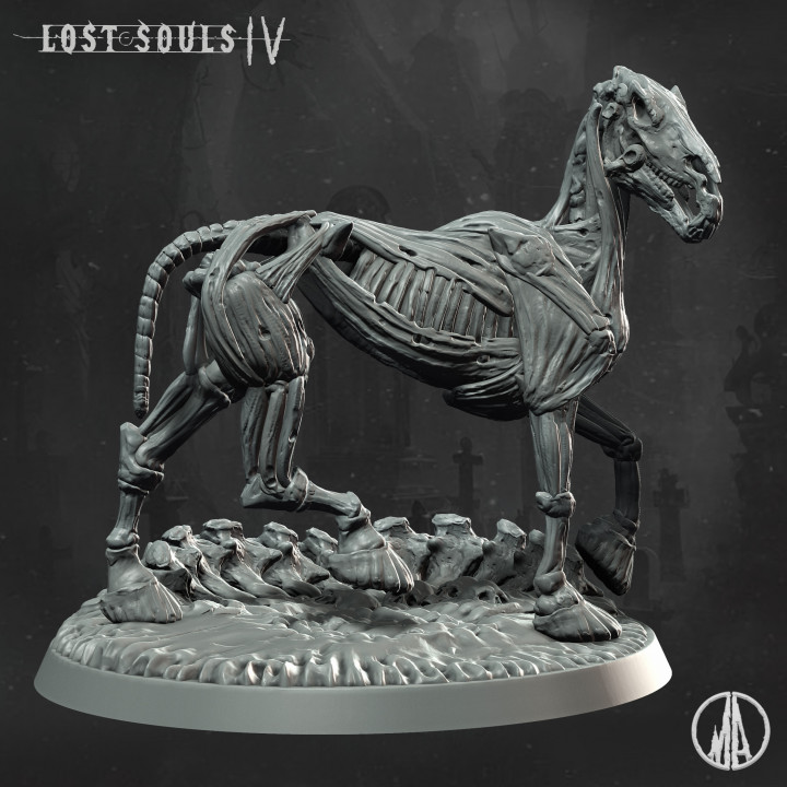 Skeletal Steeds - Lost Souls IV