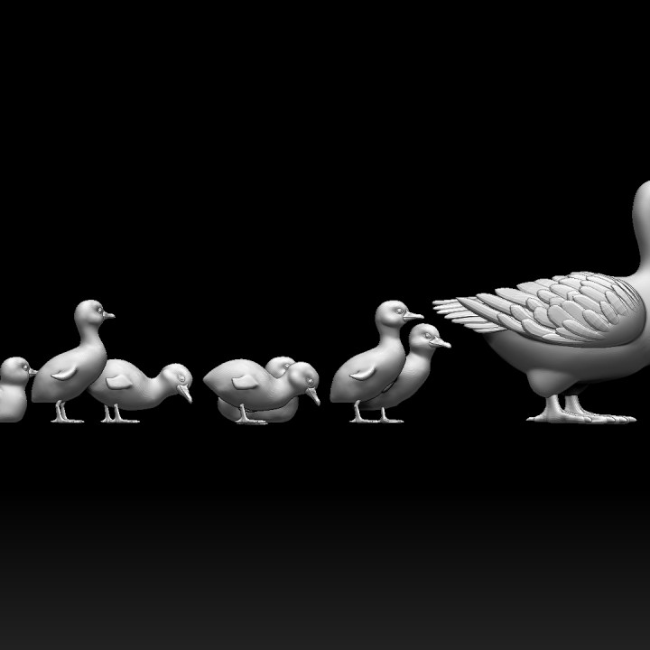 duckling duck image
