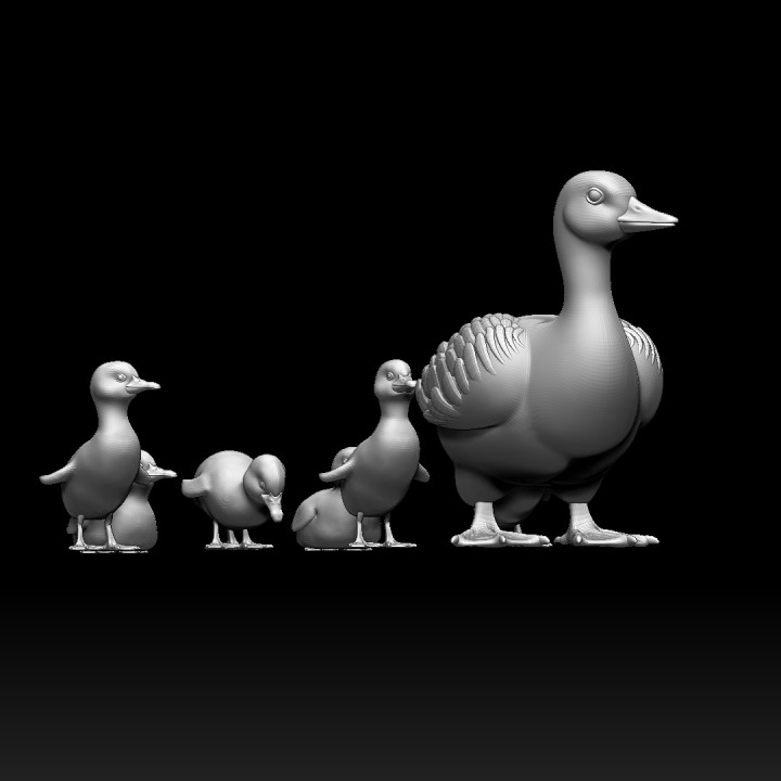 duckling duck image