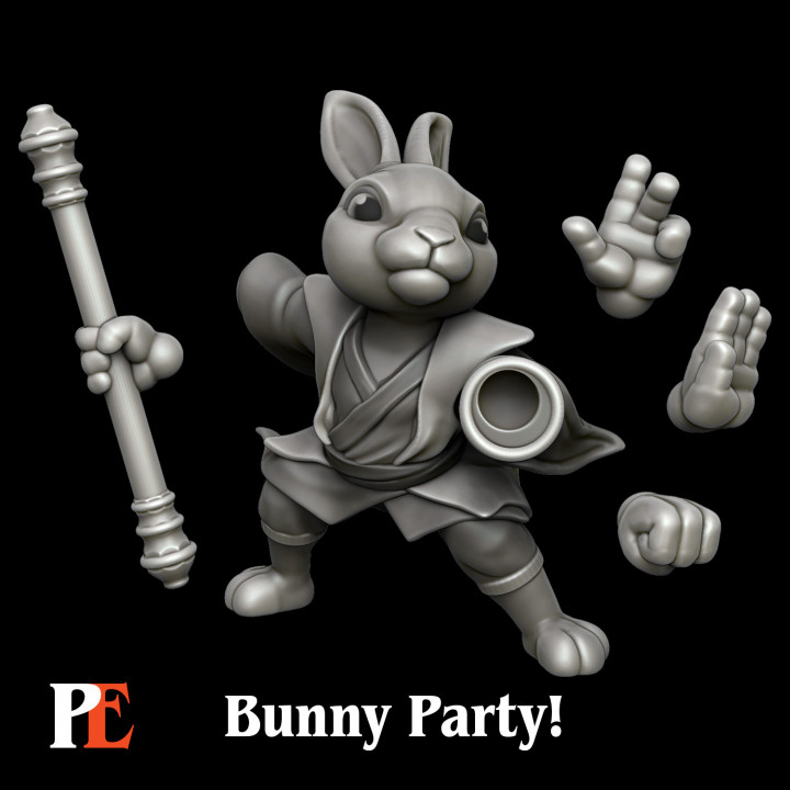 Bunny Monk image