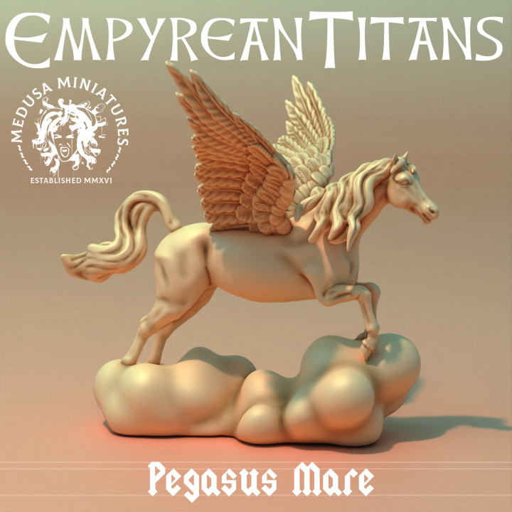 Pegasus Mare image