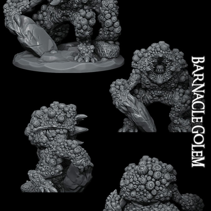 Barnacle Golem image