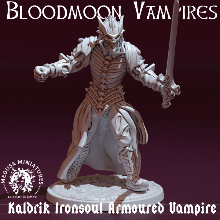 Kaldrick Ironsoul - Armoured Bloodmoon Vampire