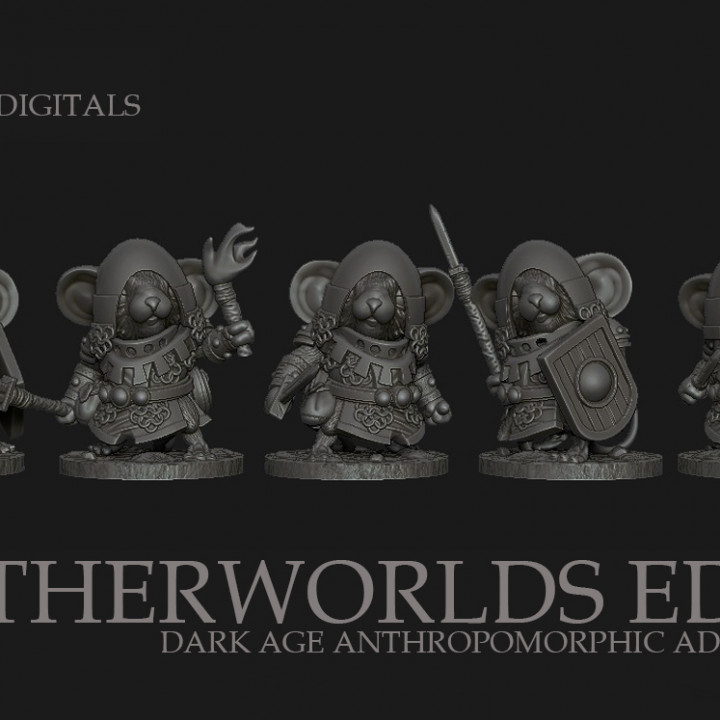 NETHERWORLDS EDGE 'Nightwatch of Thornwall' image