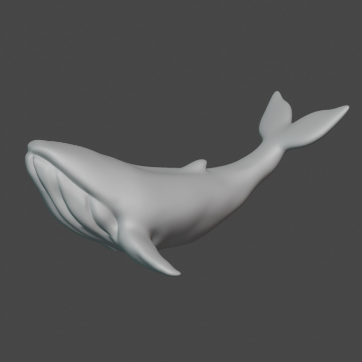 Whale