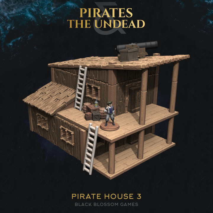 Pirate House 3 :: UMC 02 Pirates vs the Undead :: Black Blossom Games image