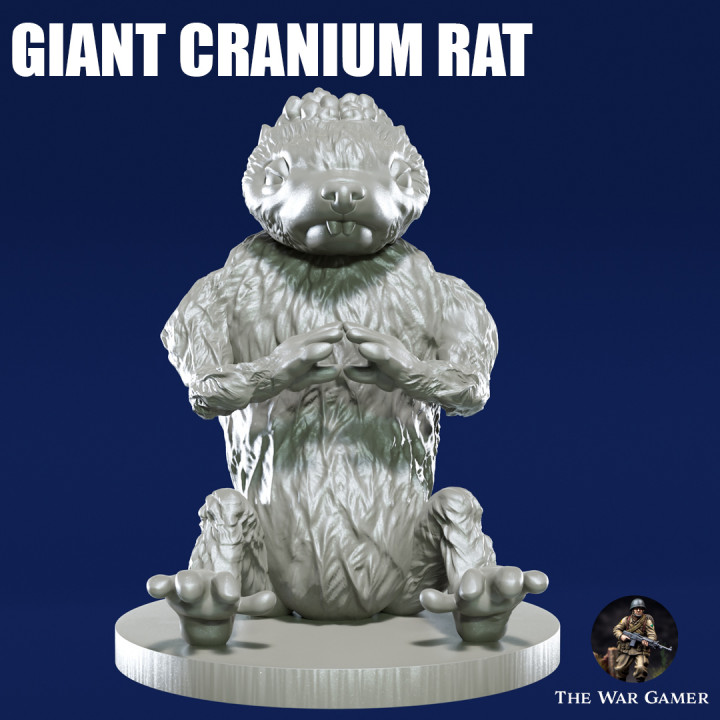 Giant Cranium Rat