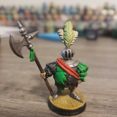 Picture of print of Fancy Knight [PRE-SUPPORTED]