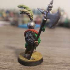 Picture of print of Fancy Knight [PRE-SUPPORTED]
