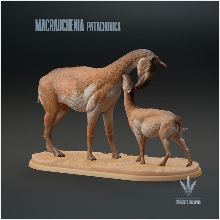 3D Printable Macrauchenia patachonica Family by Miniature Museum