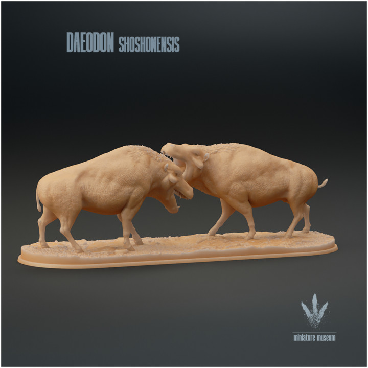 Daeodon shoshonensis : Fighting Pigs