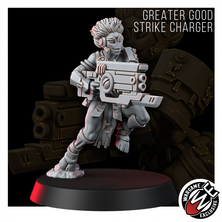 GREATER GOOD STRIKE CHARGER image