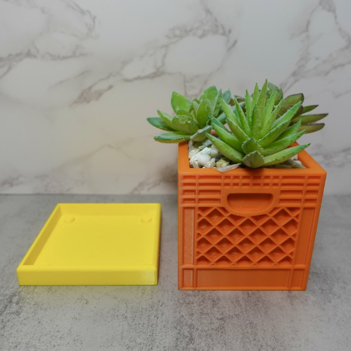 Mini Crate Planter Pot