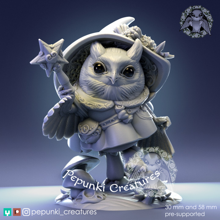 Owl Mage Lady image