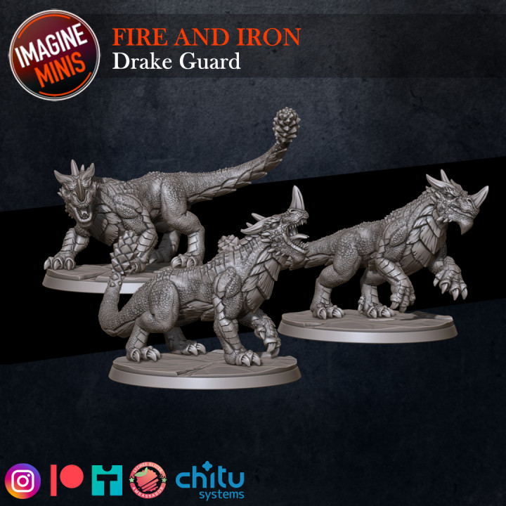 Fire and Iron - Drake Guard (3 Drakes) image