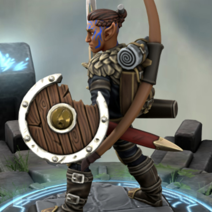 Elf Warrior/ranger image