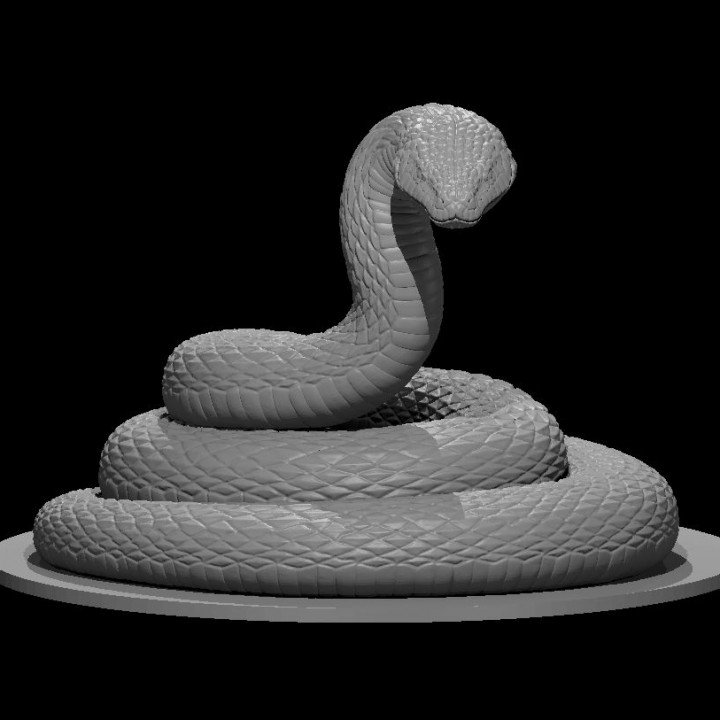 Giant Constrictor Snake coiled image