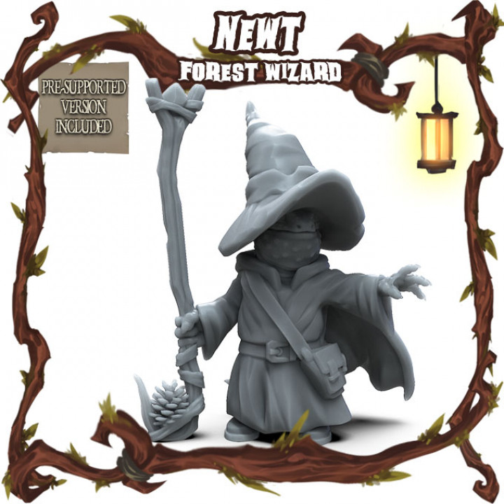 Newt Folk: Forest Wizard image