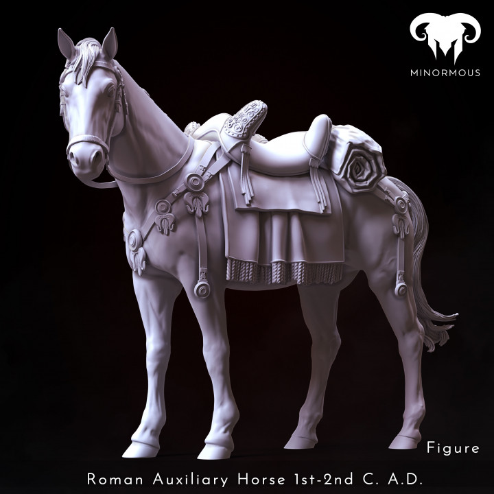 Horse - Roman Auxiliary Cavalryman 1st-2nd C. A.D. Auxilia Equestrians! image
