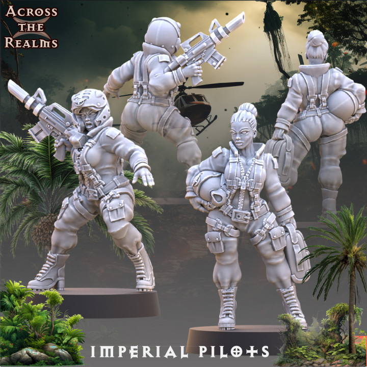 Imperial Pilots image