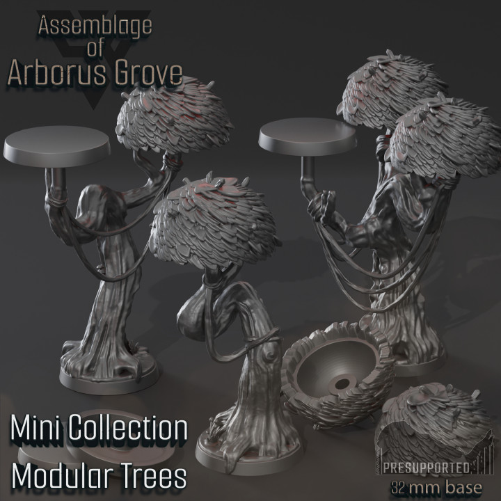 Assemblage Of Arborus Grove, Full Release, November 2023 image