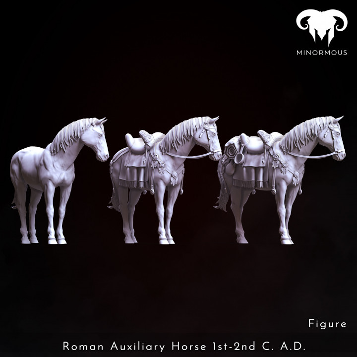 Bundle - Roman Auxiliary Cavalryman 1st-2nd C. A.D. Auxilia Equestrians! image