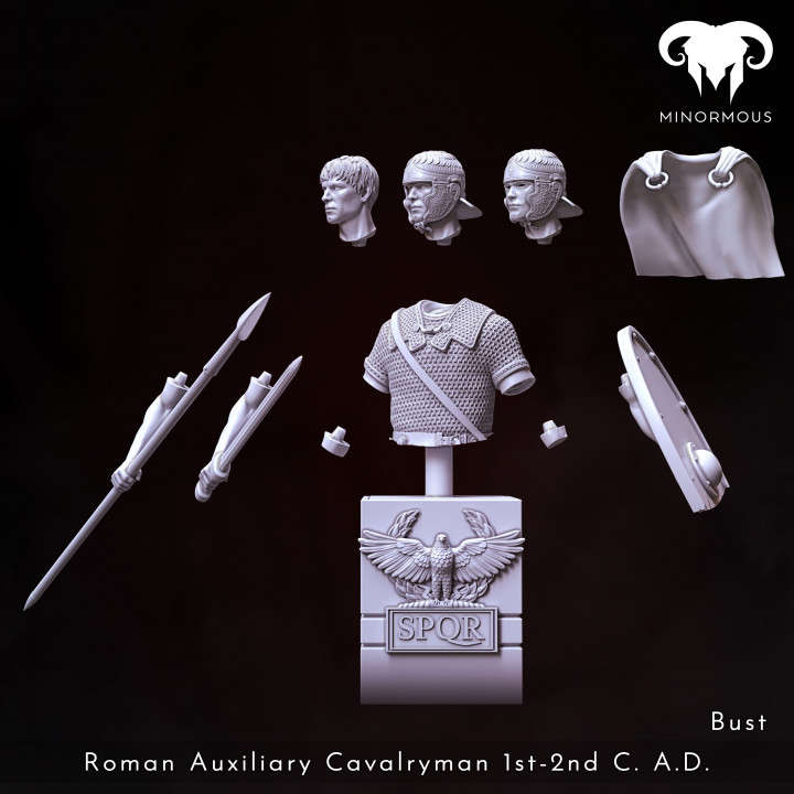 Bust - Roman Auxiliary Cavalryman 1st-2nd C. A.D. Hooves of Honor! image