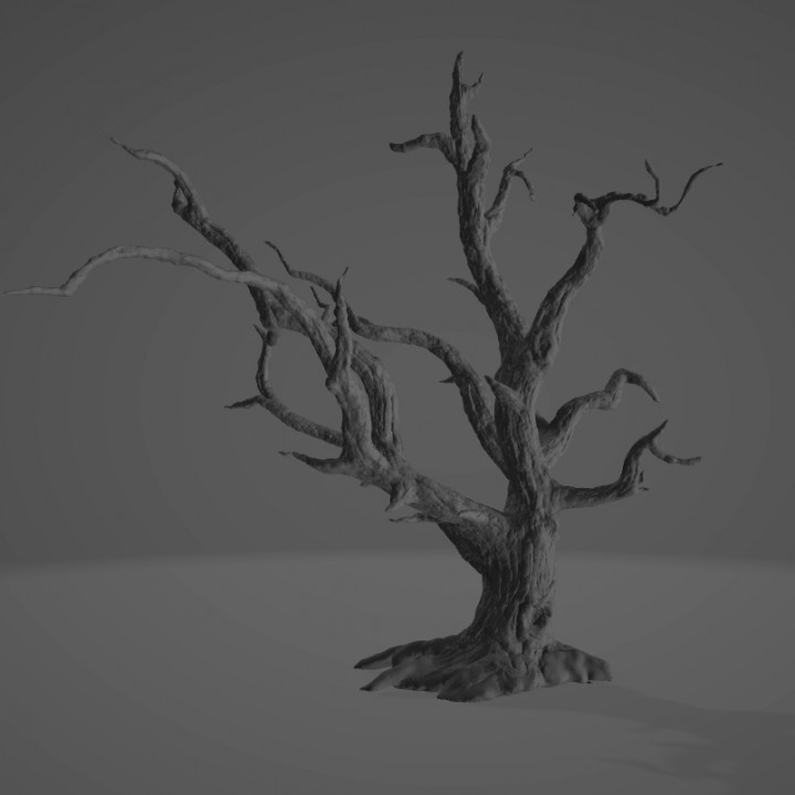 Old Dead Tree image