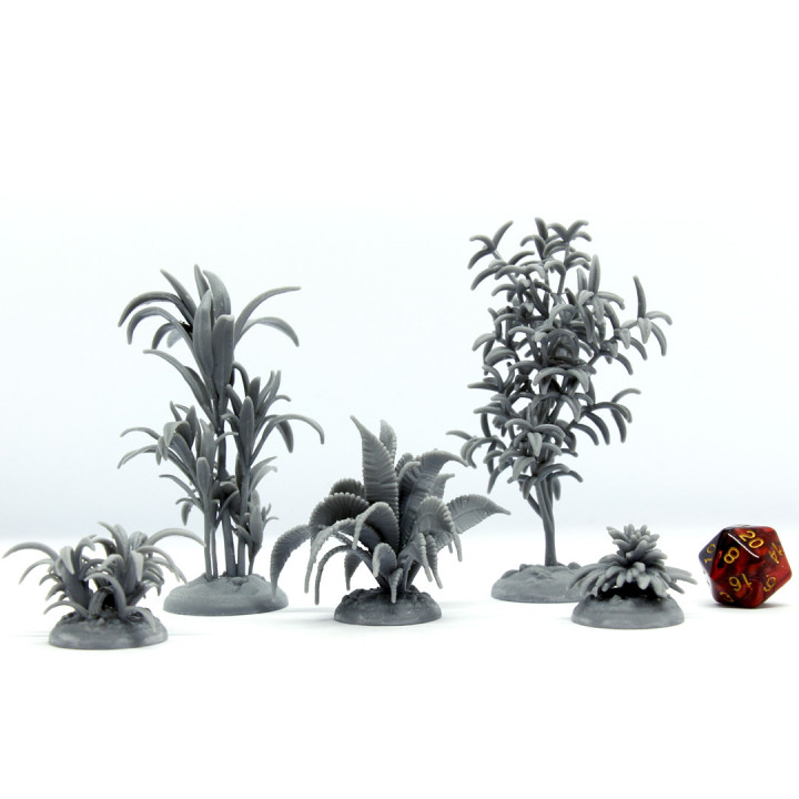 plants set 1 image