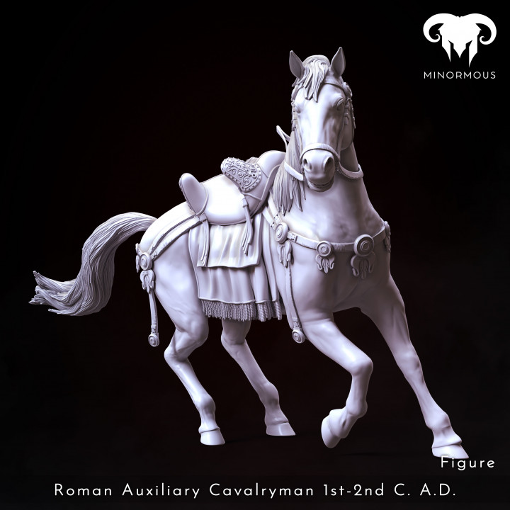Horse - Roman Auxiliary Cavalryman 1st-2nd C. A.D. Riding with Rome! image