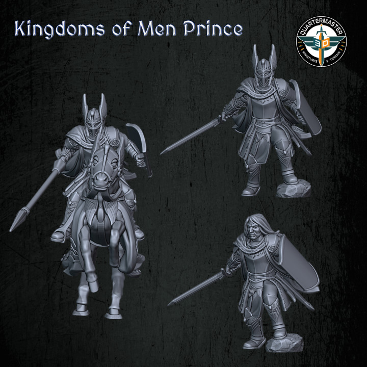 Kingdoms of Men Prince's Cover