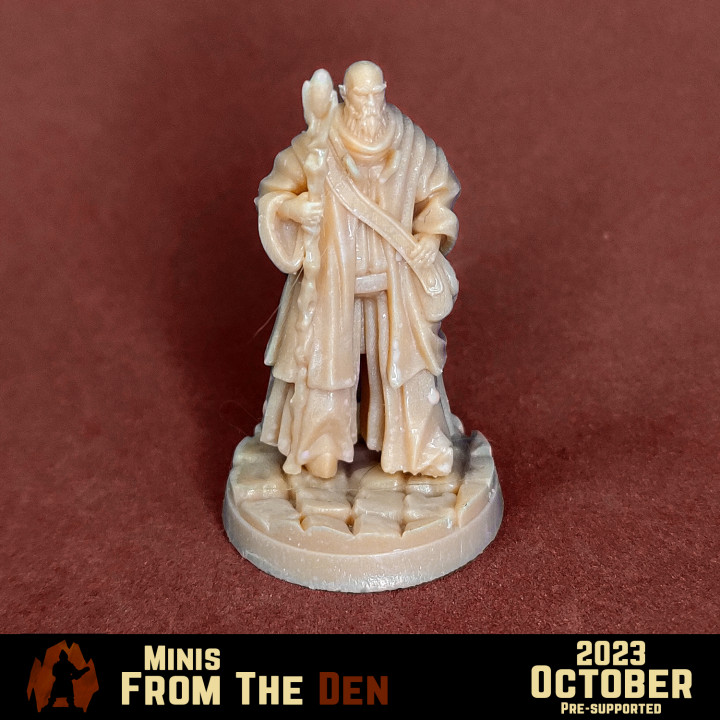 Elderly Wizard - Mage