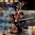 Kimiko The Kunoichi [PRE-SUPPORTED]  32mm Female Ninja Samurai print image